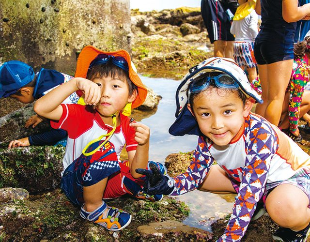 【7月26日】海の生き物探偵団！！キャンプ