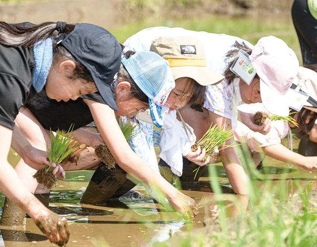 【関東発】子供の田植え体験ツアー