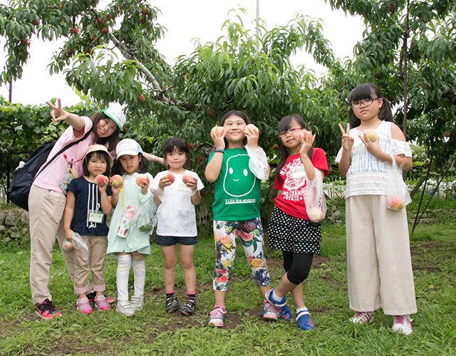 【6月23日】初夏のフルーツ王国やまなし満喫ツアー