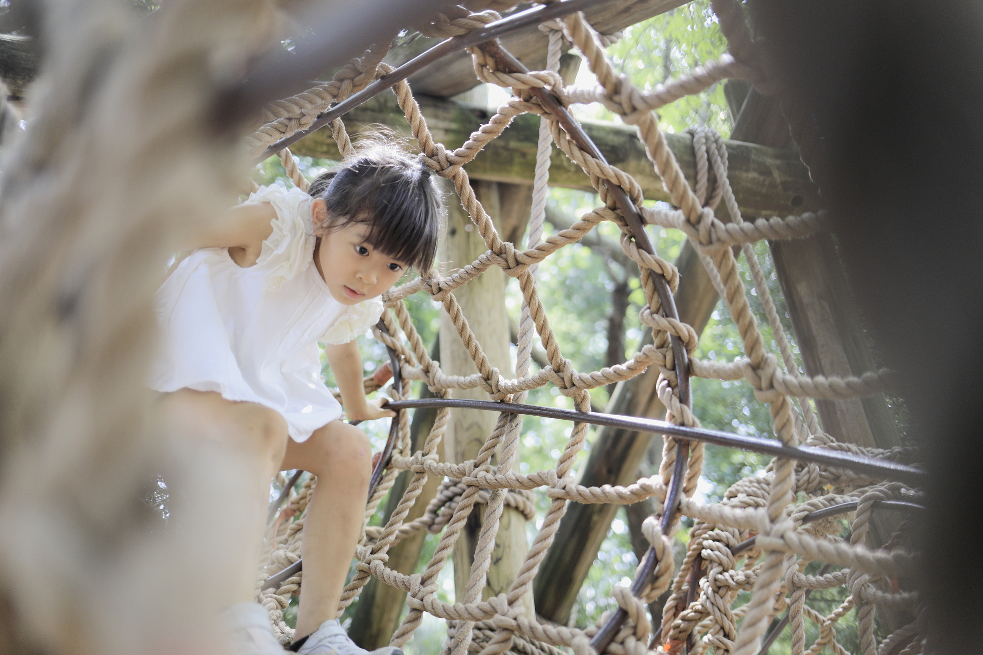 子供がアスレチック体験できる関東発おすすめツアーを紹介!