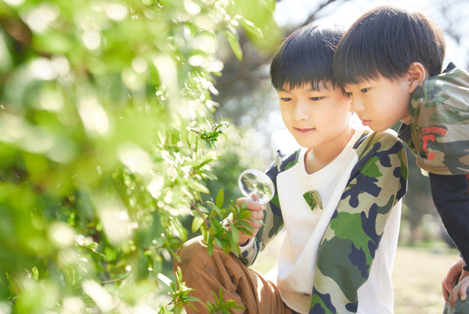 子ども向けの春の自然遊びといえば?おすすめツアーも紹介