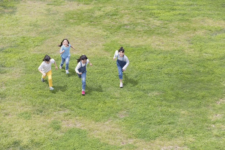 自然体験・野外体験をする子供たち