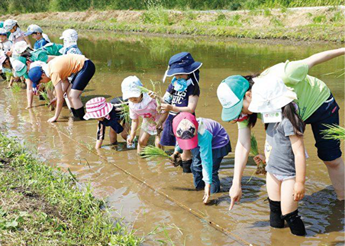 【2025・関東発】子供の田植え体験ツアーがおすすめ!魅力や詳細など