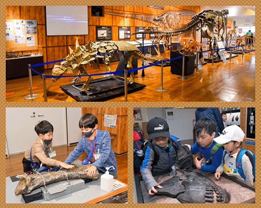 【関西発】化石発掘体験ツアー